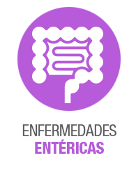 Enfermedades Entéricas