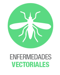 Enfermedades Vectoriales