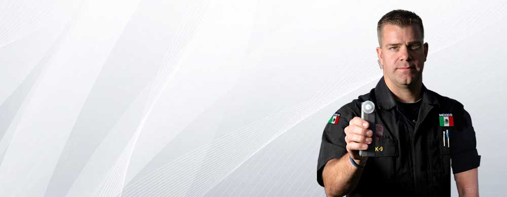 Banner 1